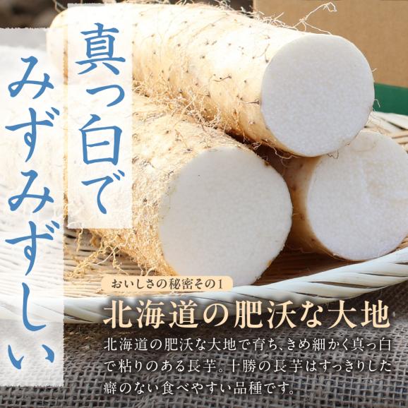 北海道十勝芽室町 ファーム・ミリオンの長芋　5㎏ me016-012c03