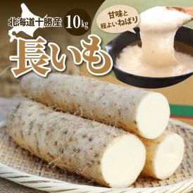 北海道十勝芽室町 ファーム・ミリオンの長芋　10kg me016-013c