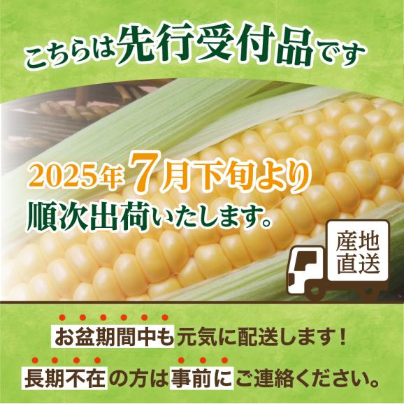 【2025年先行受付】朝採りをお届け！ 北海道十勝芽室町　蝦夷っ子とうもろこし ゴールドラッシュ 6本 me076-008c-2502