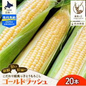 【2025年先行受付】朝採りをお届け！ 北海道十勝芽室町　蝦夷っ子とうもろこし ゴールドラッシュ 20本 me076-010c-25