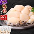 オホーツク産お刺身用ホタテ大サイズ(3S)【750g（250g×3）】_K012-0714