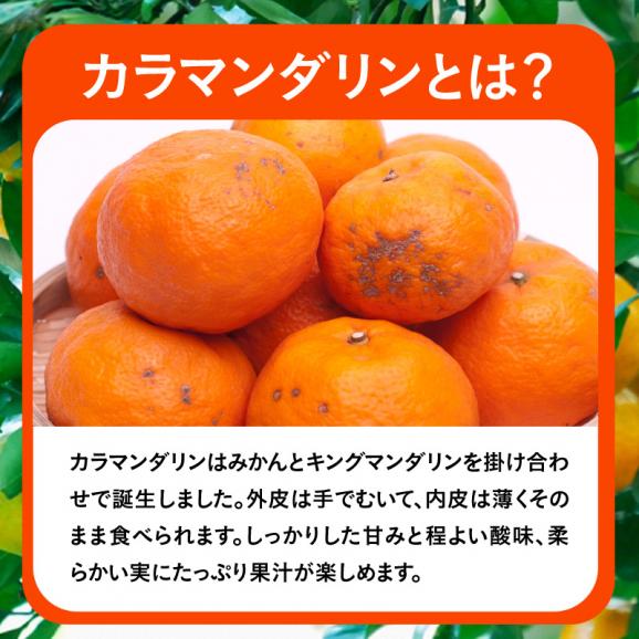 ZH6202_＜4月発送＞家庭用カラマンダリン2kg+60g（傷み補償分）（なつみ）（希少な春柑橘）（訳あり）03