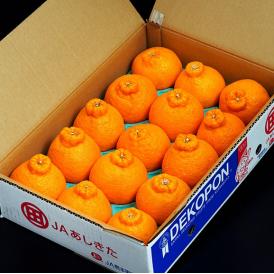 デコポンの本場　熊本県産！