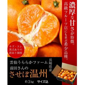 【訳あり品】長崎県産 雲仙うららかファーム 前田さんのさせぼ温州みかん 約3kg 3S～Mサイズ込　産地箱 常温 送料無料