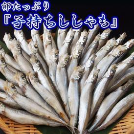 【賞味期限間近】2024/10/10　からふと ししゃも メス アイスランド産 計1kg 120尾前後 （500g×2袋） ※冷凍 送料無料