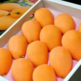 季節先取りの美味しさ！