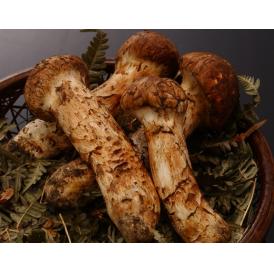 【すだち付き】まつたけ 松茸  無選別品　約180g 目安：2～5本 北海道・長野県・岩手県産 ※冷蔵 送料無料 カード・又は代引限定