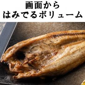 北海道鹿部町_イリエ船橋商店_「軽石干し・ほっけ」Lサイズ3枚セット（開き)