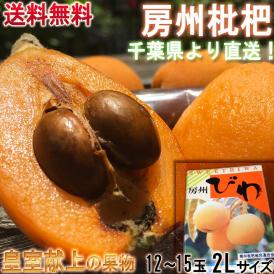 送料無料 初夏の旬ギフト 贈答品 千葉直送 新鮮なビワをお届け！