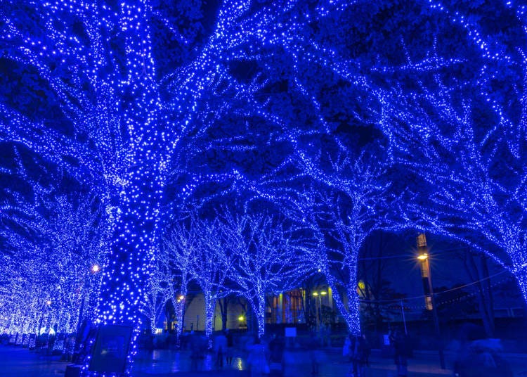 14.10周年を記念した「青の洞窟 - THE SNOW DOME -」