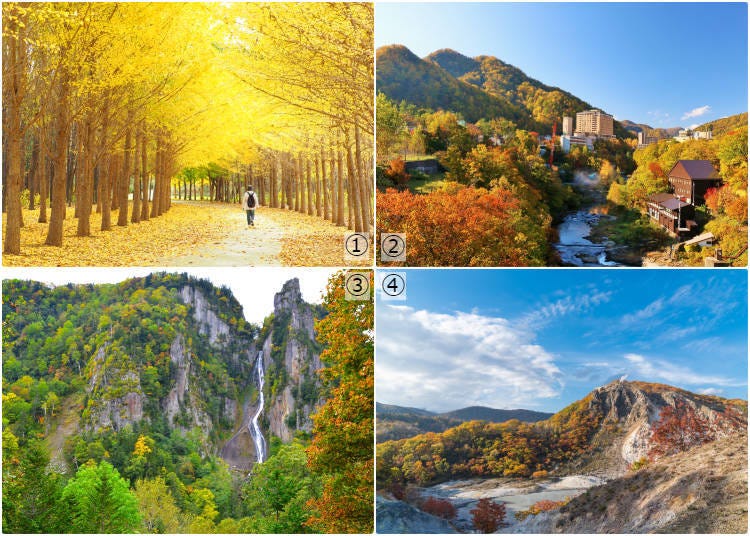 1-홋카이도 대학: 2-조잔케이 온천: 3- 소운쿄: 4-노보리베츠 온천 (사진: PIXTA)