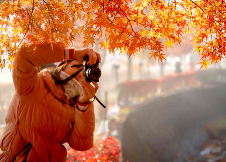 Tips & Advice for Planning a Trip to Tokyo in Autumn