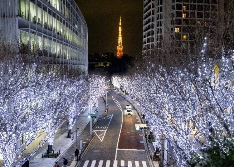 Keyakizaka Illumination “SNOW & BLUE” (Image from past event)