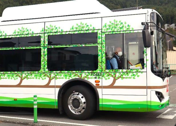 Japan's Top Tourist Pitfalls—And How to Outsmart Them, According to a Tour Conductor