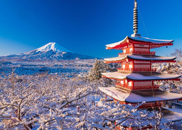 Winter scenery can make January one of the most beautiful times of year to visit Japan (Image: PIXTA)
