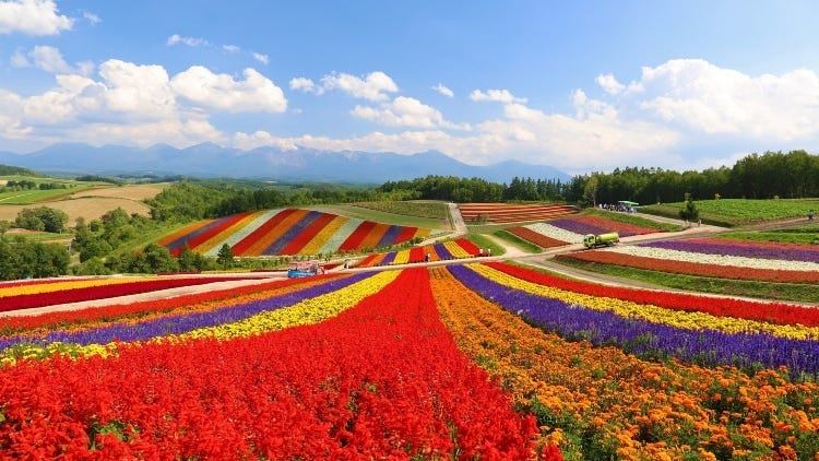 Where to Stay in Hokkaido - Japan’s Gorgeous Northern Island
