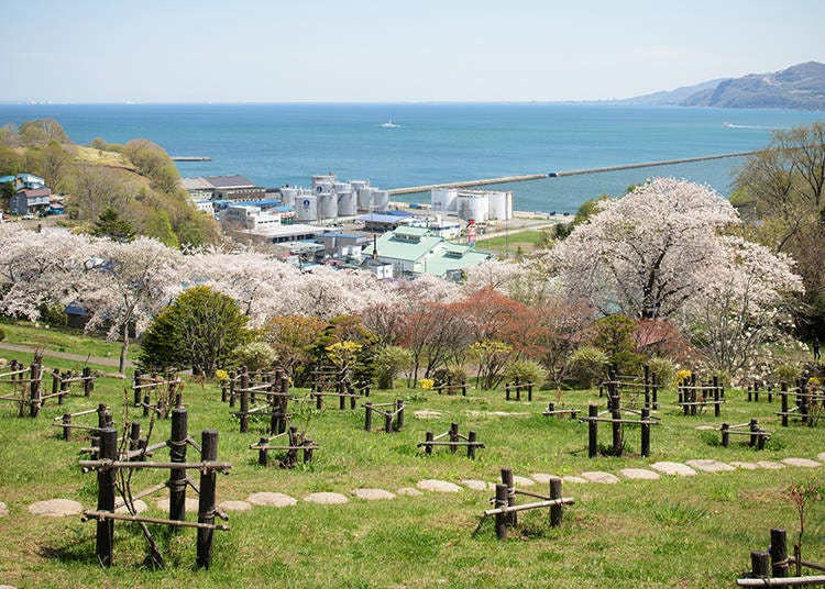 Temiya Park (Photo: PIXTA)