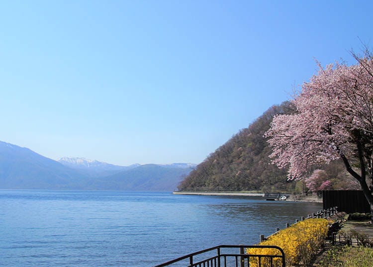 Lake Shikotsu (Photo: PIXTA)