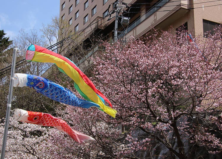 조잔케이의 벚꽃 (Photo: PIXTA)