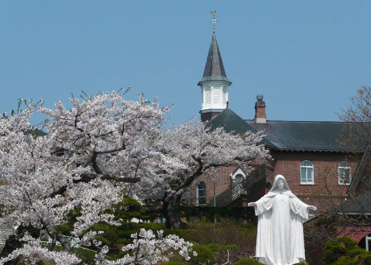 Photo credit: Hakodate City Official Tourism Site