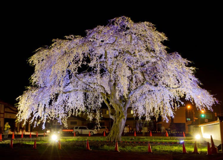 Photo credit: Hokuto City Tourism Association