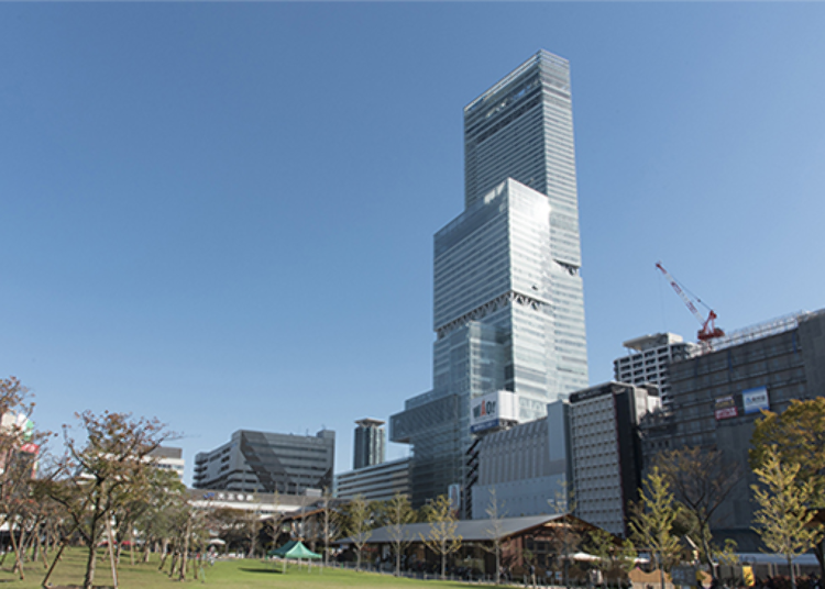 ▲Looking up at Abeno Harukas from Tennoji Park
