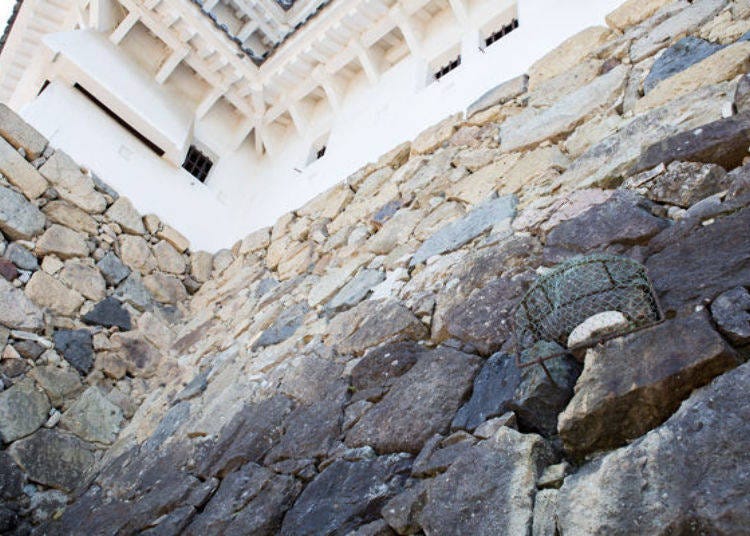 ▲ The ubagaishi is covered with netting to preserve it