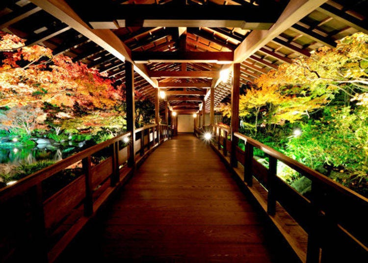 ▲ (photo provided by Koko-en Garden)
