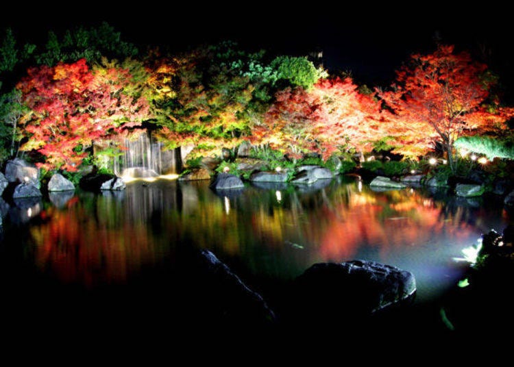 ▲ (photo provided by Koko-en Garden)