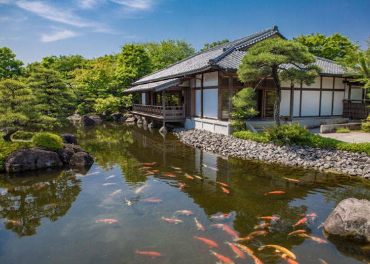 The mansion’s pond has many colorful carp