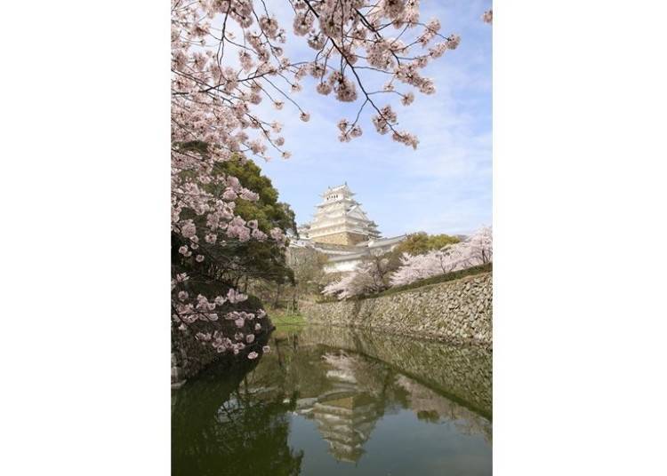 ▲ (photo provided by Himeji City)