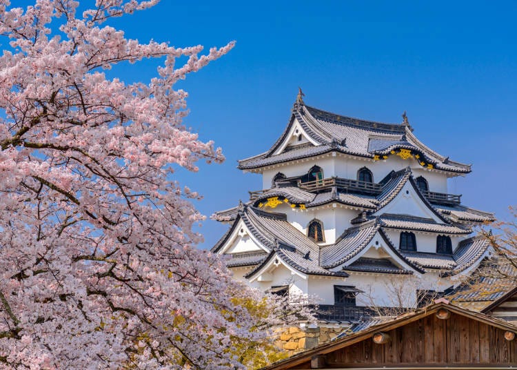 What Kind of Place is Shiga?