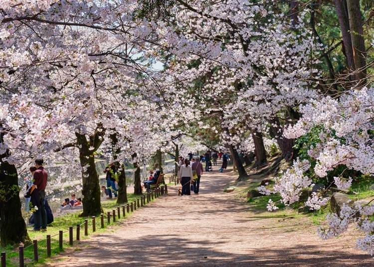 將河川整個區域都整頓為公園的都市公園。