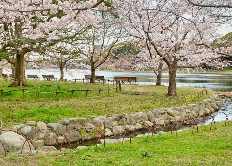圍繞在水池周邊的石牆,就是這座公園的象徵