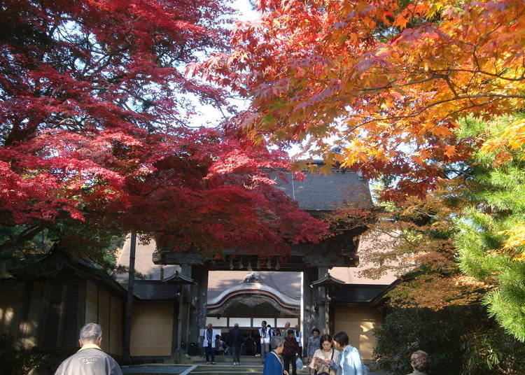 1.漫步於神祕山林中的「高野山・金剛峰寺」