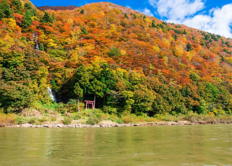 6．船下りで紅葉を間近に感じる【最上峡】