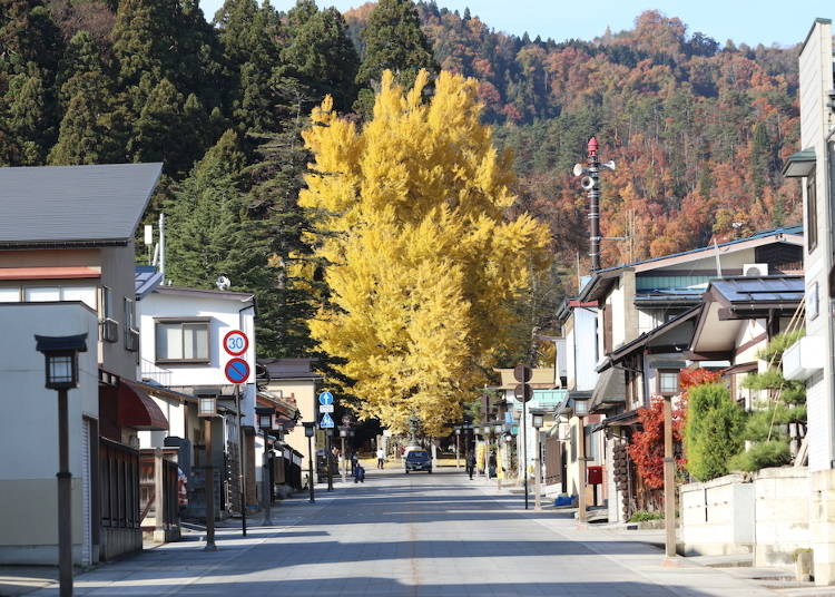 写真提供:熊野大社
