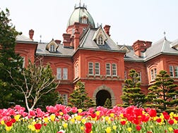 Sapporo / Chitose:Ikhtisar dan Sejarah