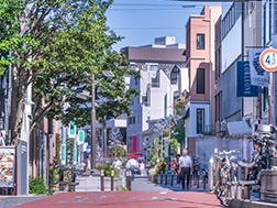 Cat Street