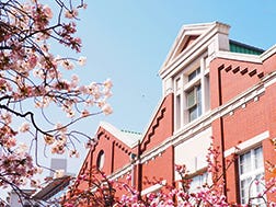 4月中旬：桜の通り抜け