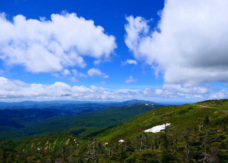 Morioka / Hiraizumi / Hachimantai