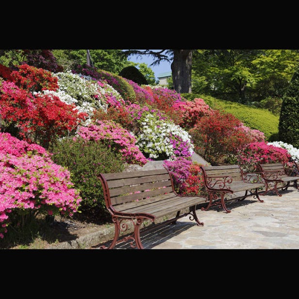 Hakone Gora Park