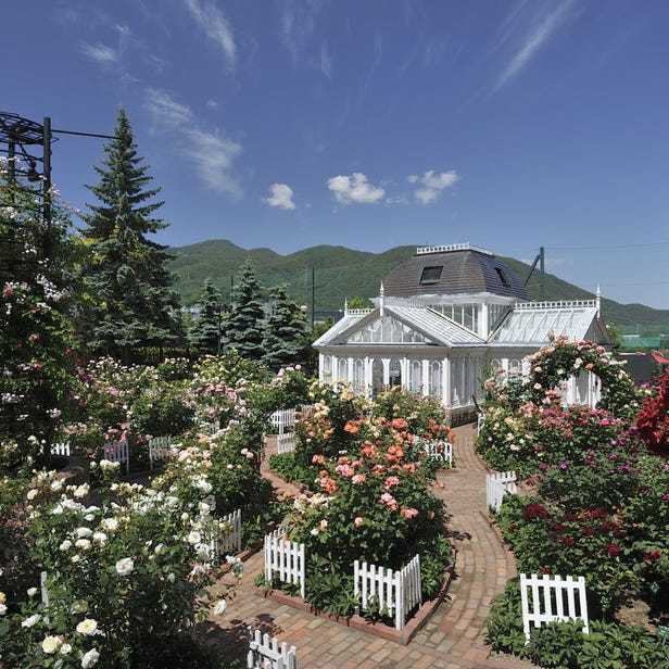 Shiroi Koibito Park