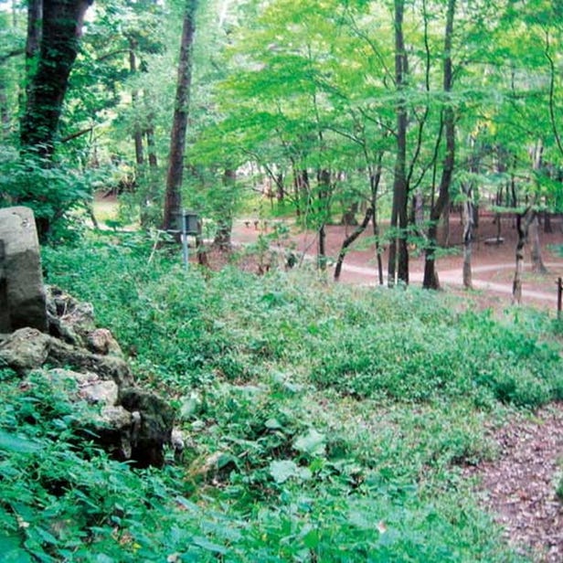 MARUYAMA PARK