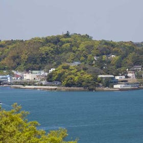 Mikimoto Pearl Island