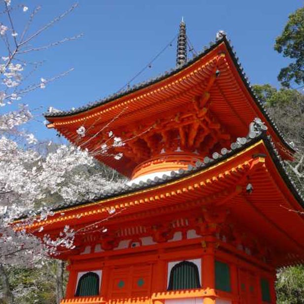 Kimiidera Temple