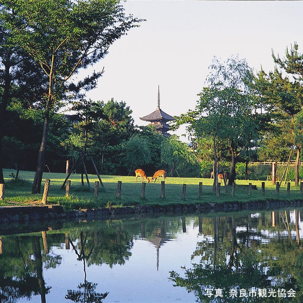 奈良公園