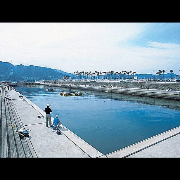 Wakayama Marina City Sea Fishing Park