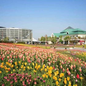 新潟故乡村