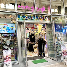 키라키라 돈키 다누키코지점